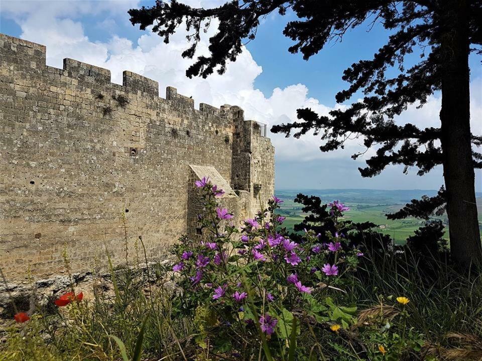 Casetta Di San Martino Tarquinia Dış mekan fotoğraf